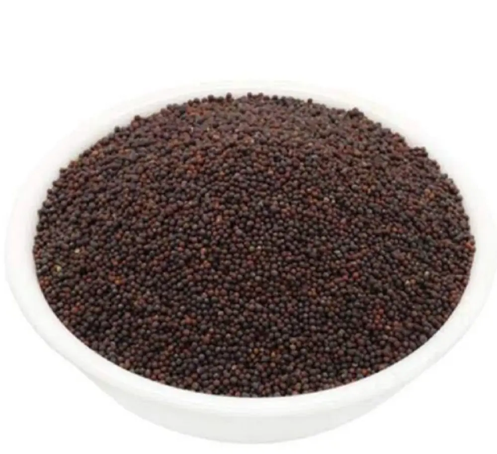 Loose Sarso / Black Mustard Seed 