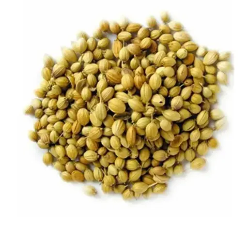 Loose Dhania Whole গোটা ধানিয়া